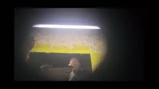 Chickens Inside Their Shelter During Cold Weather! (Early Spring 2023)