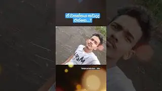 Vasanthaya a pitata perali | වසන්තය ආපිටට පෙරලී #trending #shorts #tiktok #srilanka