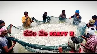 చేపల వేట Party 2 #fishing #lifeisbutadrea#fishcutting #saifarms#fish