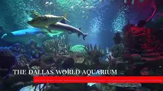 Dallas tourism video 1