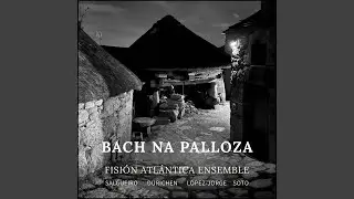 Tr&iacute;o sonata para viol&iacute;n, frauta e baixo cont&iacute;nuo en Sol M, BWV 1039: III. Adagio e piano...