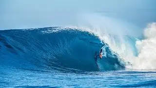 Alex Gray Cover