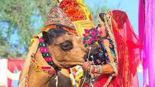 🔥 मेले में ऐसा सीन पहली बार देखा होगा | Camel Dance | New Rajasthani Song 2025 | Priyanshu Sihag