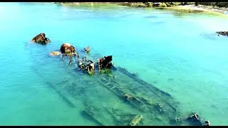 Peel Island | Moreton Bay | Platypus Wreck | Stone Jetty | HorseShoe Bay | Rainbow Channel | Dunwich