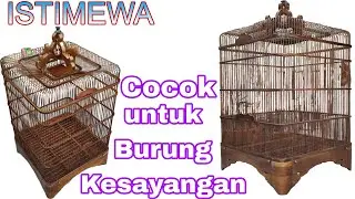 Simpel dan Mudah‼️Full Tutorial pembuatan Sangkar Oval Kayu Jati
