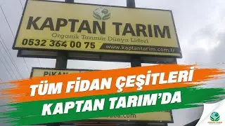 T&uuml;m Fidan &Ccedil;eşitleri Kaptan Tarım&rsquo;da