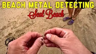 We Both Found Rings Metal Detecting this Beach &bull; Olight Arkfeld Ultra Flashlight