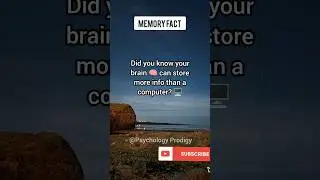 The Brain&rsquo;s Storage Power #memory #shorts #psychologyfacts #Psychology Prodigy #subscribe