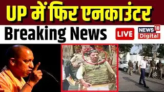 🟢Anil Dujana Encounter Live : Meerut में UP STF का बड़ा एनकाउंटर। CM Yogi । Breaking News। Top News