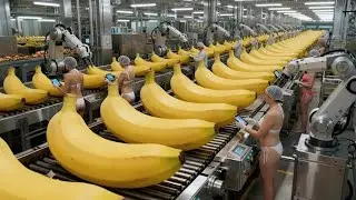 Inside a Modern Banana Chip Factory : From Fresh Bananas to Crispy Fruit Chips (Full Process)