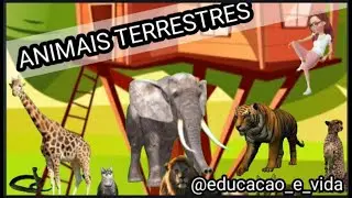 ANIMAIS TERRESTRES