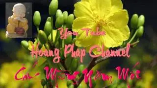 Hoang Phap Channel Ch&uacute;c Tết  Xu&acirc;n Gi&aacute;p Ngọ 2014