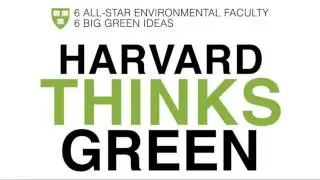Your Role as a Leader of Sustainability Efforts | Harvard Thinks Green