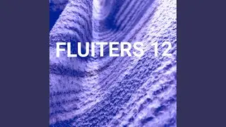 FLUITERS 12