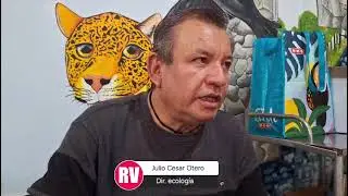 Mapaches y nutrias en Ciudad Valles: Llaman a proteger fauna silvestre