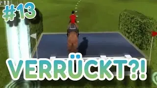 Das UNERWARTETE Springturnier KLASSE M 🤣🎉 #13 Riding Star 3