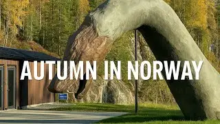 Scenic Drive in Norway | Golden Autumn Trees & Mountains 🍂