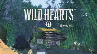 T-1000 4gb Benchmarks: WILD HEARTS UPDATE PATCH Gameplay Best Settings (720P High Graphic Settings)