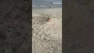 🏖