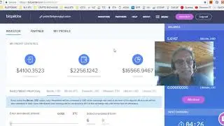 BITPETITE UPDATE - Coming Back! MAINTENANCE/UPDATE ALMOST COMPLETE