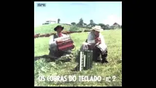 10 - Bela Ingrata - Os Cobras do Teclado (LP N° 2)