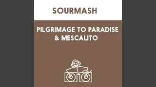 Pilgrimage To Paradise (Timo Maas Remix)