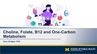 Choline, Folate, B12 and One Carbon Metabolism