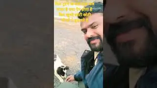 ब्रोकन हार्ड #youtubeshorts #animals #dogs #feeling #love #life #lovesong #public #youtube #youtuber