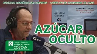 ULTRAPROCESADOS, CIBERSEGURIDAD Y  BIOLOGÍA Y BIOÉTICA EN EL FINAL DE LA VIDA HUMANA.