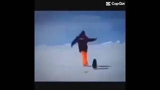 Penguin missile&hellip;?