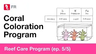 Reef Care Program &eacute;pisode 5 : Coral Coloration, sous-titr&eacute; fran&ccedil;ais