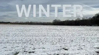 Nik Boone - Winter (Official Lyric Video)