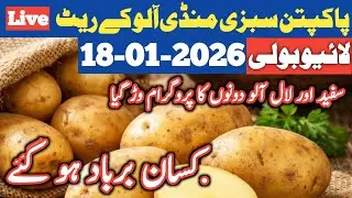 Potato Price Today | Potato Price Increased, White Potato Price Decreased | Pakpattan Sabzi Mandi