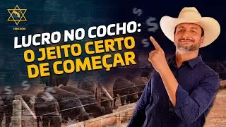 LUCRO NO COCHO - O jeito certo de come&ccedil;ar! #gado #boinococho #confinamento