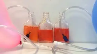 Carbon Dioxide Captured in Water