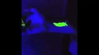 20ml Tubes Of Glow Paint Ind Brand UV Face Body Paint