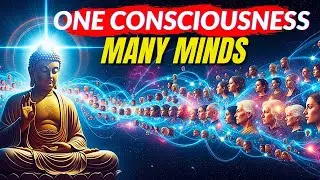 The Buddha&rsquo;s Smile Decoded: You&rsquo;ll Never See Others the Same Again ! One Consciousness, Many Minds