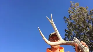 Shed hunting (episode 6) part one of two TWC