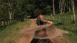Rodrigo Ciampi - Cigana da Estrada