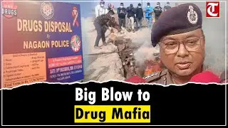 Major Anti-Drug Drive: Assam Police Destroy Huge Cache of Narcotics in Nagaon