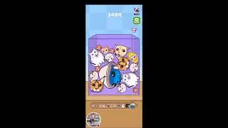 MERGE FELLAS 55 CATS MODE🌞 LET'S HAVE FUN #asmr #short #trendingvideo #viral