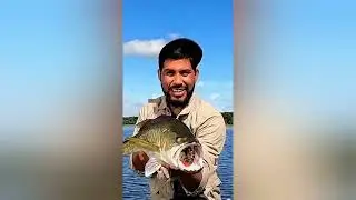 صلي علي النبي وانت شغال بتفرق في اي حاجه 