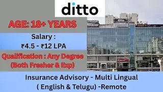 Ditto Telugu Work From Home Jobs 2025 | Insurance Advisory-Telugu Job | #ditto #workfromhome