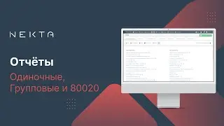 Формирование Отчётов В NEKTA. Одиночные, Групповые и XML 80020