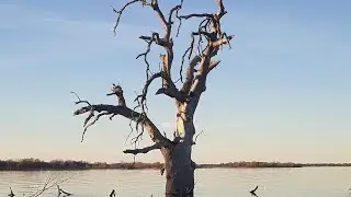 Reading, Humans and Nature: Trends and Crises #nature #reading #naturetherapy 