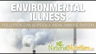 Natural Health Reviews - Environmental Illness - How to Boost Immunity System? | National Nutrition
