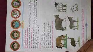 Samajhdari - Hindi -Std4 (Nutan Saraswati Hindi Vidyalaya)