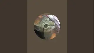 るる見守り@TikTokも見てね がライブ配信中！
