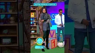 Krystal Sil de Gatita Sexy