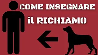 Insegnare al cucciolo IL RICHIAMO